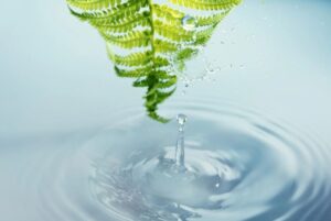Energia dall'acqua della pioggia